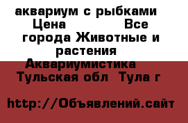 аквариум с рыбками › Цена ­ 15 000 - Все города Животные и растения » Аквариумистика   . Тульская обл.,Тула г.
